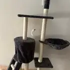 لعبة قطط للبيع