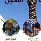 مقاول شبوك ونخيل. .