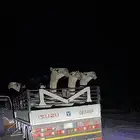 للبيع دنه هيدروليك جاهزه من الى موديل 2014تيربو