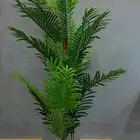 أشجار زيه