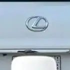 سطبات خلفية