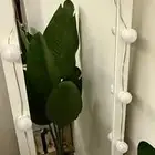 مراية ارضيه
