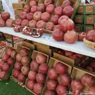 ثمرة مشروع رمان فاخر   ماء حلو وحجم كبير
