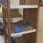 محكر حمام نضيف