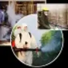 شركة مكافحة حشرات بجدة