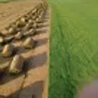الخرج