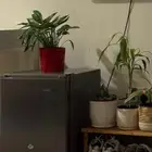 ثلاجه للبيع
