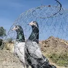 تم البيع تيدي سلار أساس