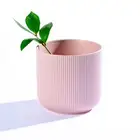 تصوير منيو و منتجات