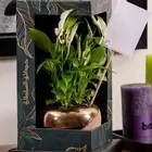 طباعه ورقيه .. اكواب. اكياس. بوكسات