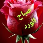 السلام عليكم ورحمة الله وبركاته أرغب ان اعمل توصيل طلبات او