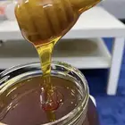 عسل سدر اصلي جديد على الذمه