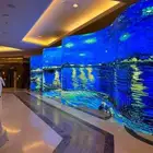 تأجير شاشات فلكس بول