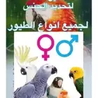 تحليل DNA لمعرفة جنس الطيور
