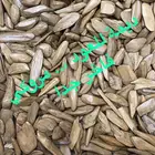 مروكي كنق بيور جملة الجملة