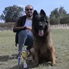 مدرب كلاب بالمنزل