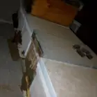 نحل البيع