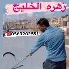 شركة تنظيف خزانات عزل خزانات غسيل مسابح نظافة عزل خزان بجدة