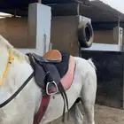 سرج للبيع علا السوم