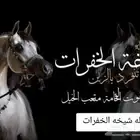 استديو_زفات_ليان_للتنفيذ_الزفات_والشيلة_وتعديل_الاسماء