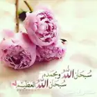 كتابة معاريض وشكوى