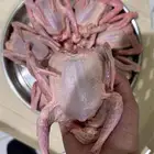 حمام على الجمر مشوي المجمعه_المستقبل