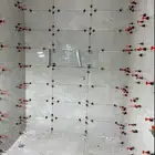29 9 2025