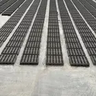 مصنع بلك كامل