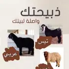 ذبايح للبيع