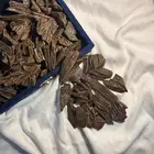 العود الازرق الملكي تبوك