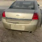شفر كابرس 2024