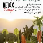 تغذية صحية   برنامج تنظيف الجسم من السموم لمدة اسبوع