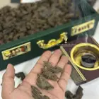 عود كلمنتان بنتلي فاخر للمناسبات والاهداء