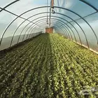 للبيع بيوت محميه وجميع مستلزماتها