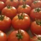 فرصة استثمار واعدة للجادين