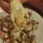 دخل موسم 2017م