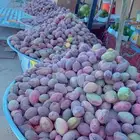 لوز ويوجد توصيل لكل مناطق المملكه