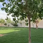 استراحة للاستثمار الايجار السنوي