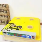 للبيع فقاسه عون المربي 98بيضه مستعمله ونضيفه