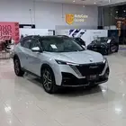 دونج فينج 2026 ماجي اي