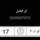 لوحة ثنائيه مميزه والبيع قريب