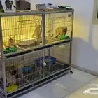 قفص للحيوانات