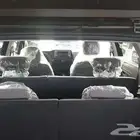 هيونداي ستارجيزر 1.5 فليت