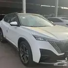 دونج فينج ميج فل كامل 2026