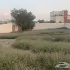 المجارده