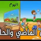 معلمة صعوبات تعلم بالياسمين