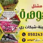 اشجار زينه كميات. للشوارع والمداخل نجيل طببعي لاند سكيب