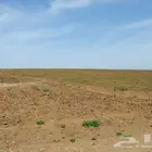 مطلوب ا ر ض زراعية غرب مطار الدمام