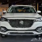 mg hs