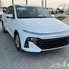 أكسنت 2026 اللون اسود ابيض رصاصي